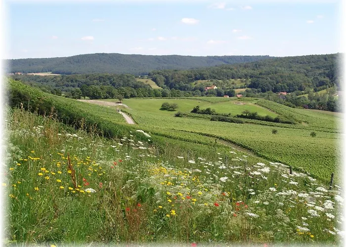 Pfrang * Michelau im Steigerwald