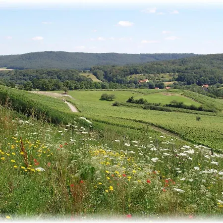 Pfrang * Michelau im Steigerwald